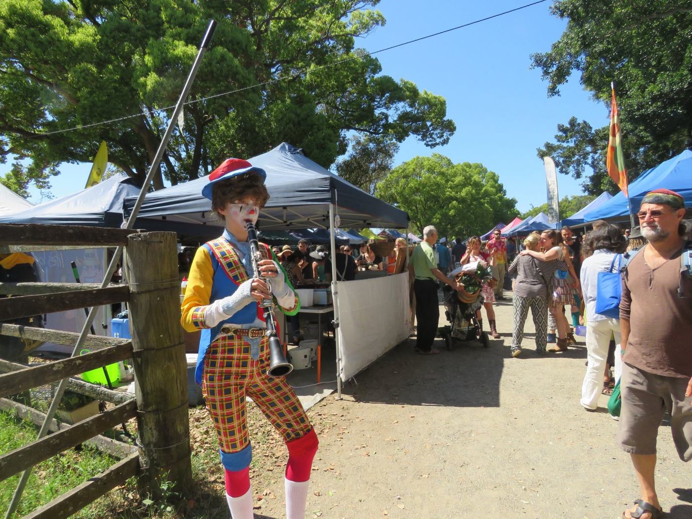 Byron Hinterland Tours