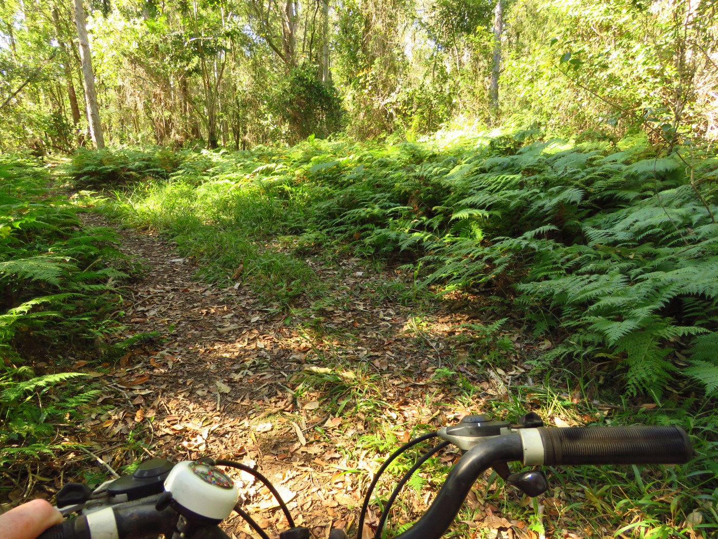 Byron Bay Adventure Tours