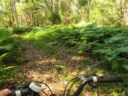 Byron Bay Adventure Tours