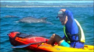 kayak with dolphins